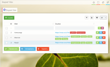 Виджет Max.png